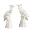 Chelsea House Hope Parrots, Set of 2