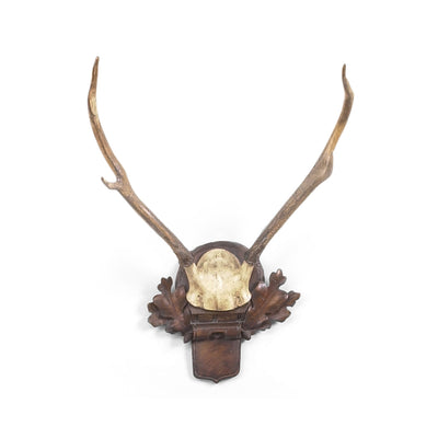 Chelsea House Deer Antlers