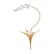 Chelsea House Orchid Stem