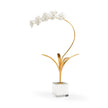 Chelsea House Orchid In Stand