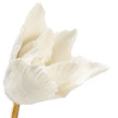 Chelsea House Porcelain Tulip In Stand