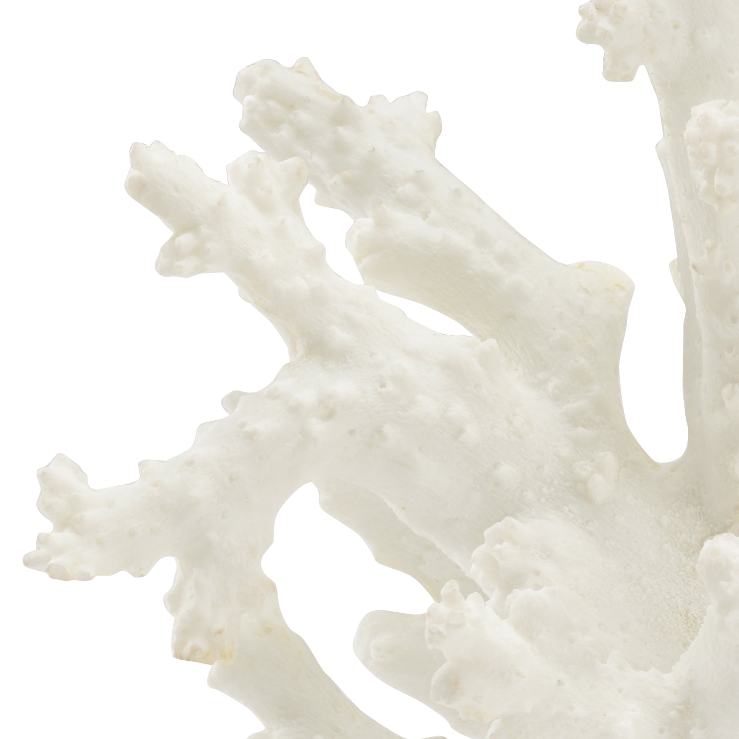 Chelsea House Coral White Sculpture
