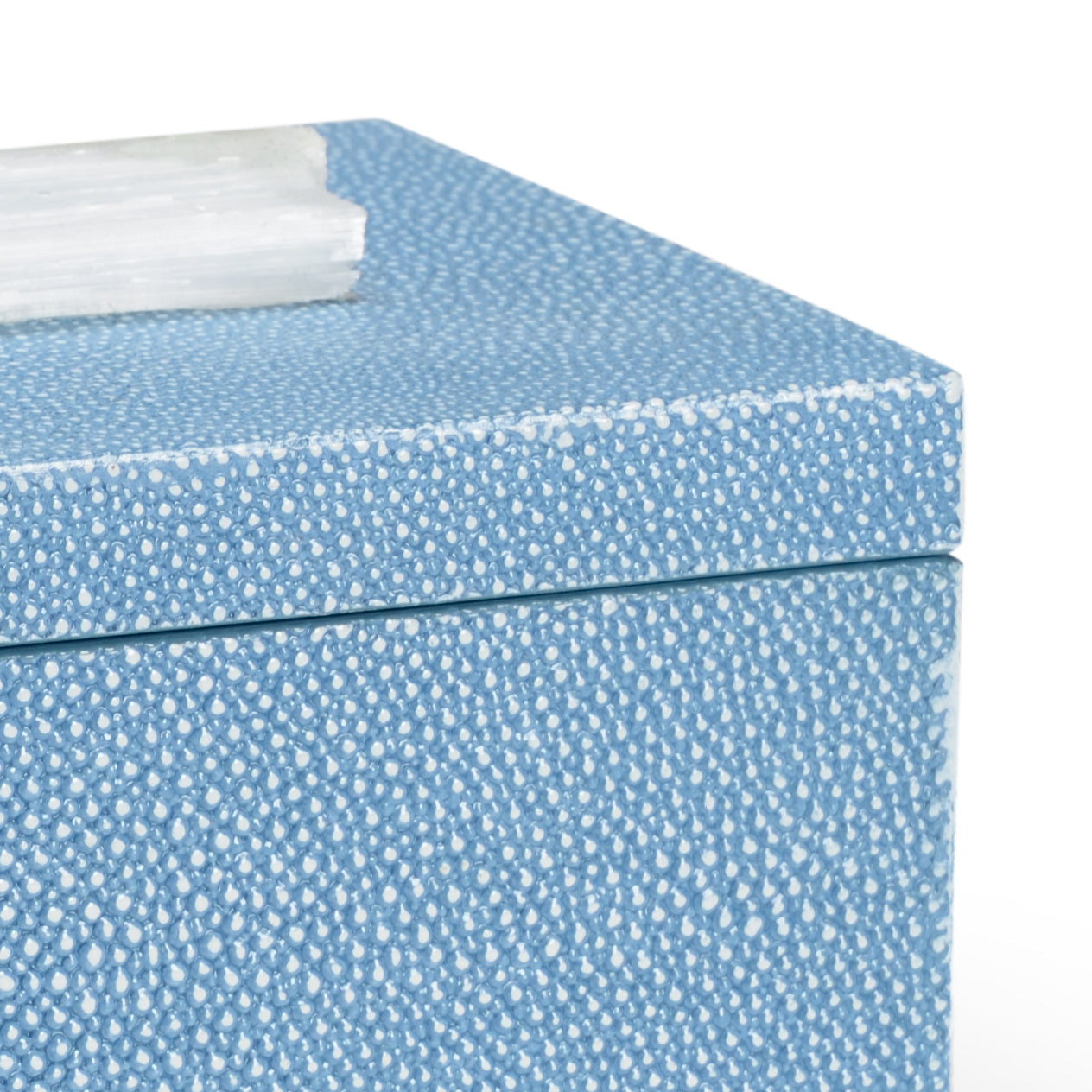 Chelsea House Blue Durham Box