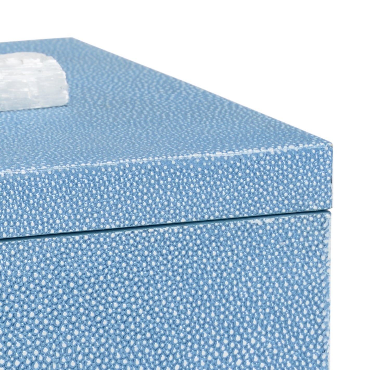 Chelsea House Blue Durham Box