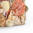 Chelsea House Large Shell Box