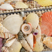Chelsea House Shell Boxes, Set of 3