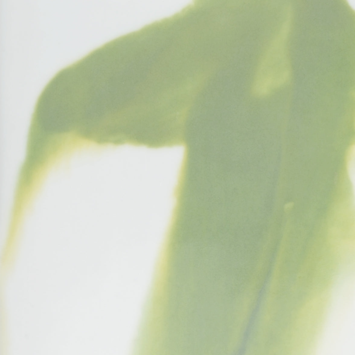 Chelsea House Green Jizhou Vase