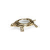 Chelsea House Turtle Magnifier