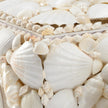 Chelsea House White Shell Boxes, Set of 3