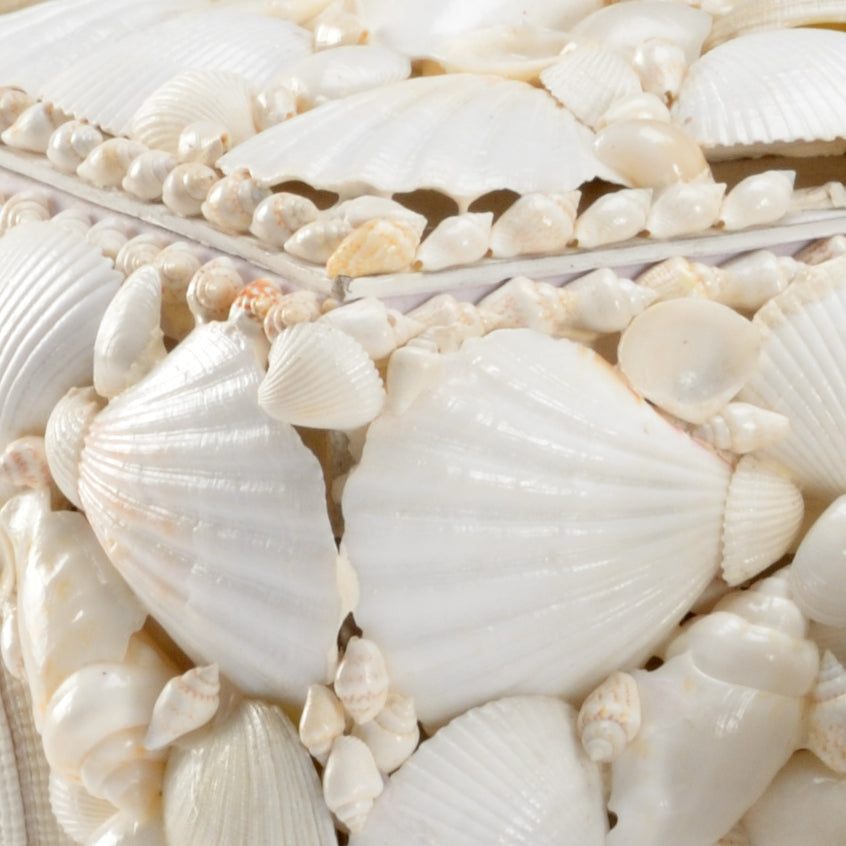 Chelsea House White Shell Boxes, Set of 3