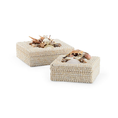 Chelsea House White Shell Boxes - Set of 2