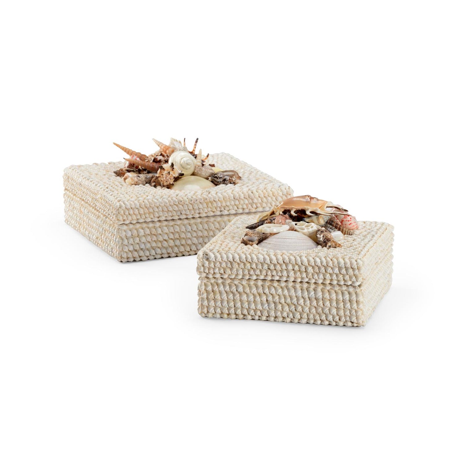 Chelsea House White Shell Boxes, Set of 2