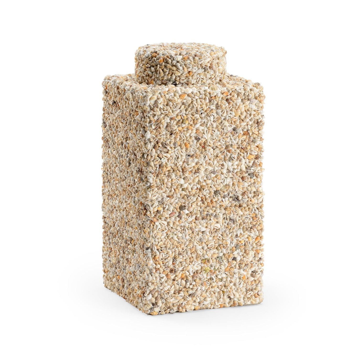 Chelsea House Shells Tea Caddy