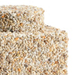Chelsea House Shells Tea Caddy