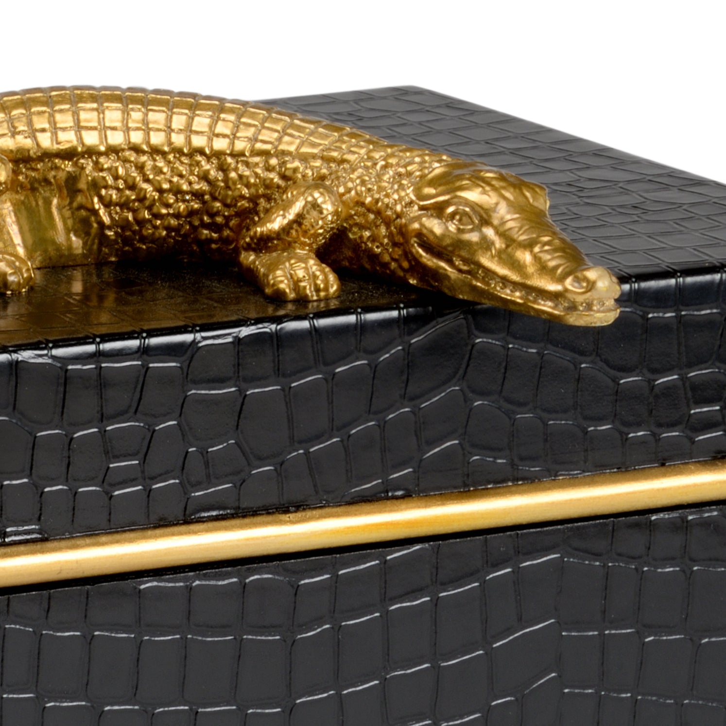 Chelsea House Alligator Black Box