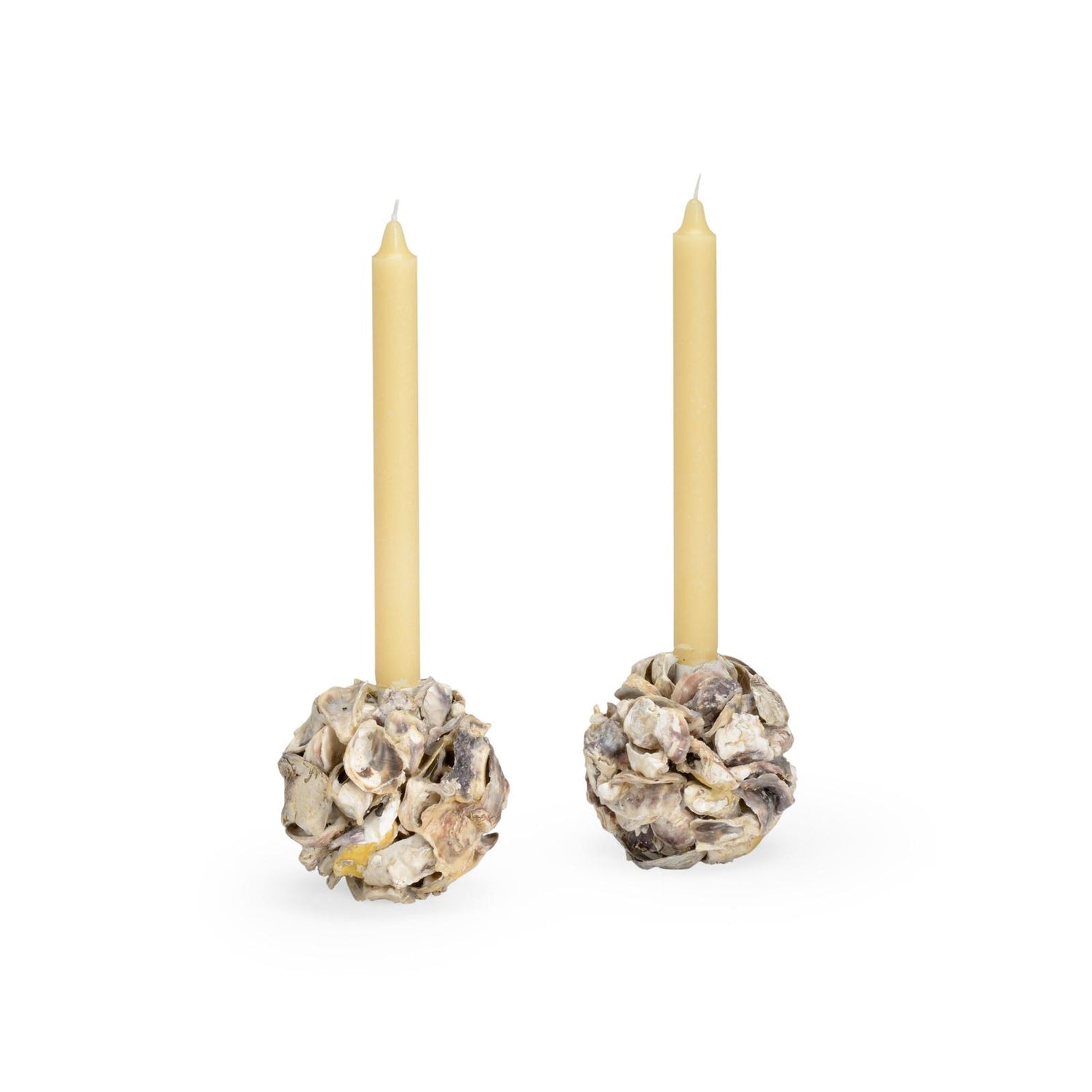 Chelsea House Oyster Shell Candleholder, Set of 2