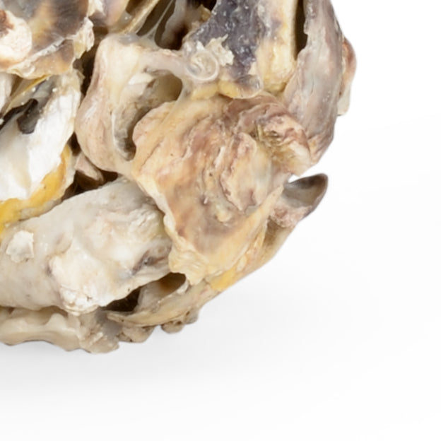 Chelsea House Oyster Shell Candleholder, Set of 2