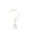 Chelsea House Orchid In Stand