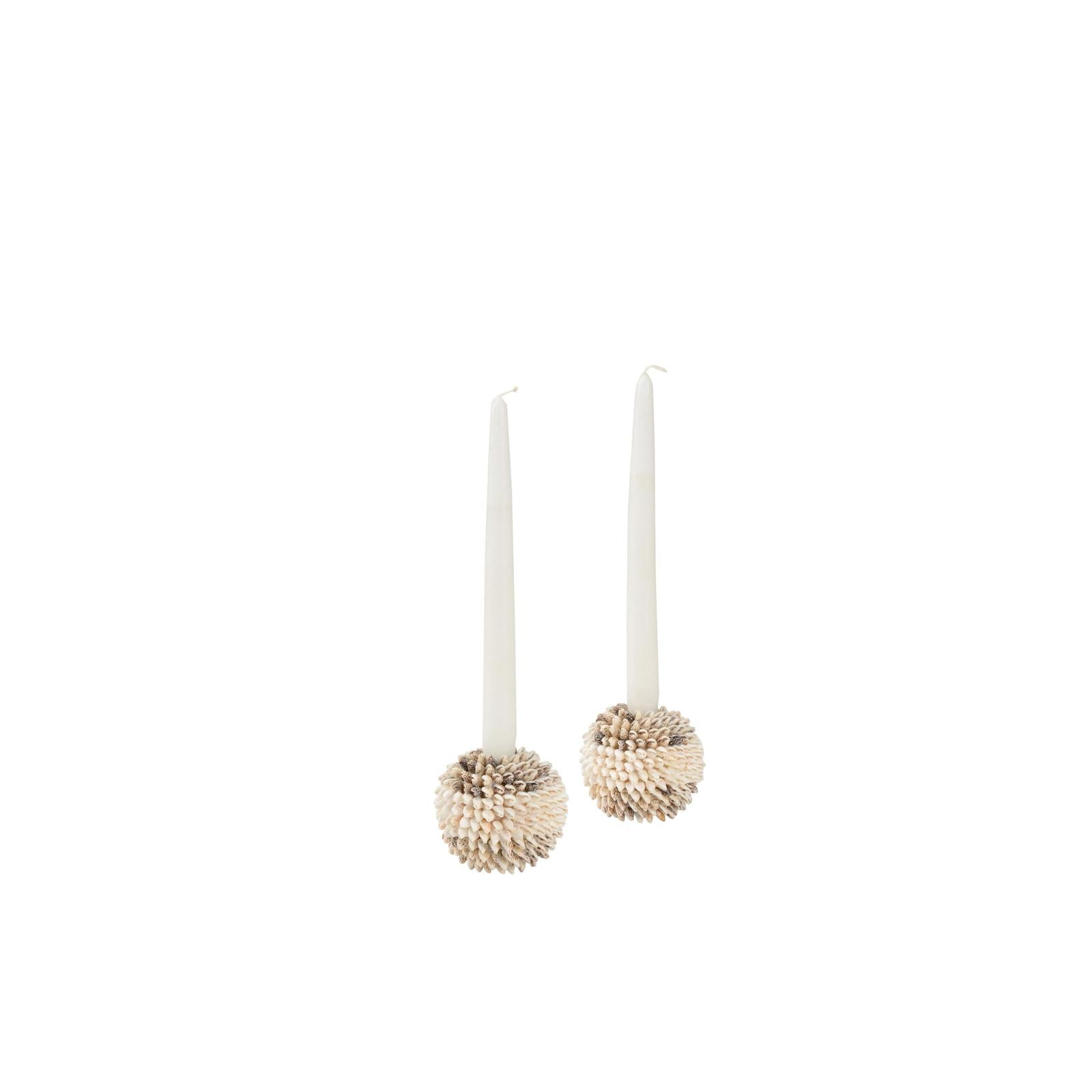 Chelsea House Nassa Shell Candleholder, Set of 2
