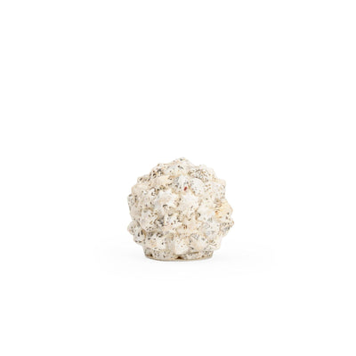 Chelsea House Shell Ball