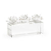 Chelsea House Clear Rose Pave