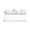Chelsea House Clear Rose Pave