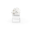 Chelsea House Clear Rose Pave