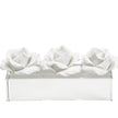Chelsea House Clear Rose Pave