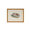 Chelsea House Peacock and Pheasants Frame