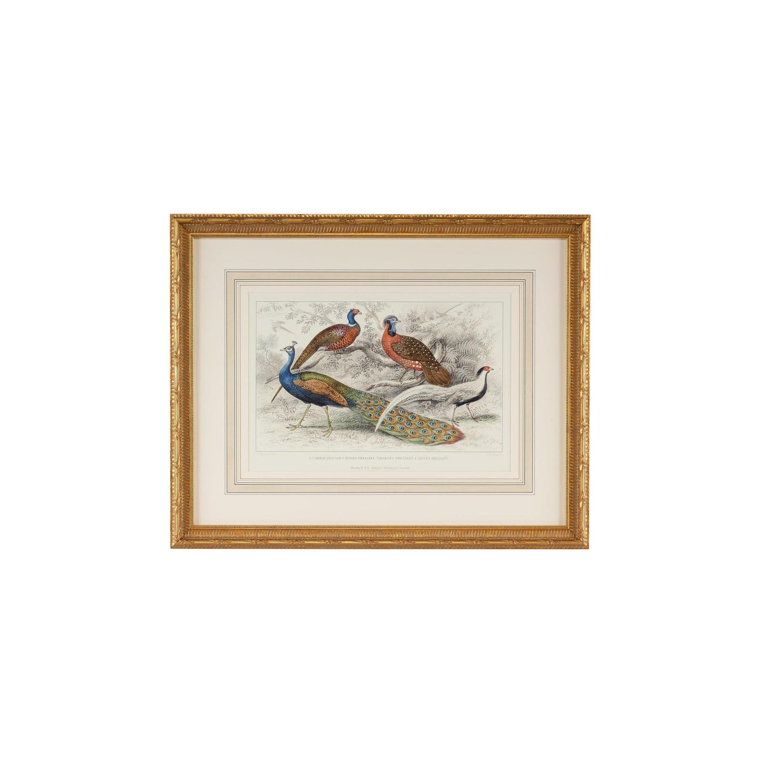 Chelsea House Peacock and Pheasants Frame