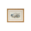 Chelsea House Herons Egrets & Cranes Frame