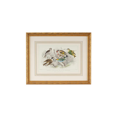 Chelsea House Gold Finch Bunting & Wrens Frame