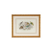 Chelsea House Gold Finch Bunting & Wrens Frame