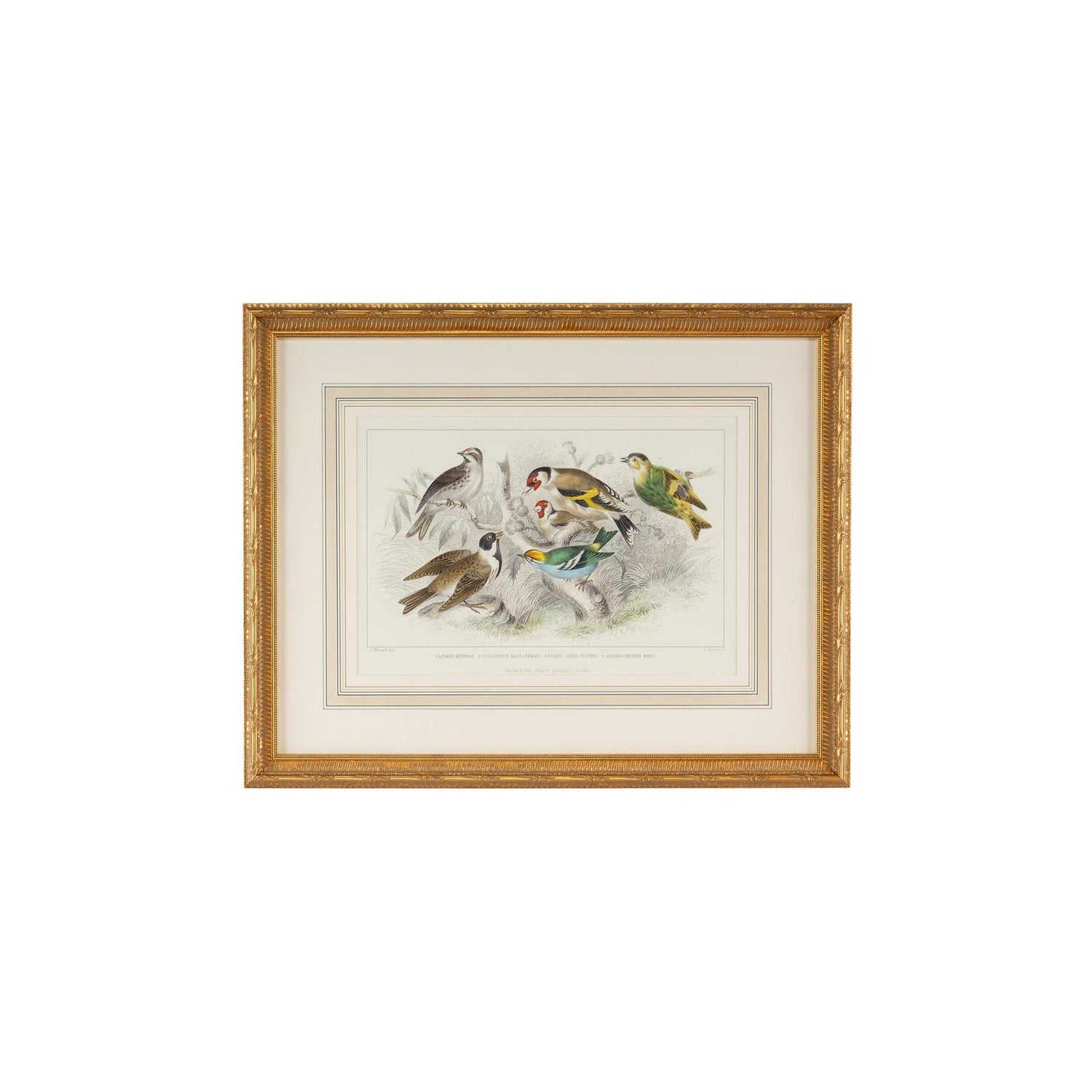 Chelsea House Gold Finch Bunting & Wrens Frame