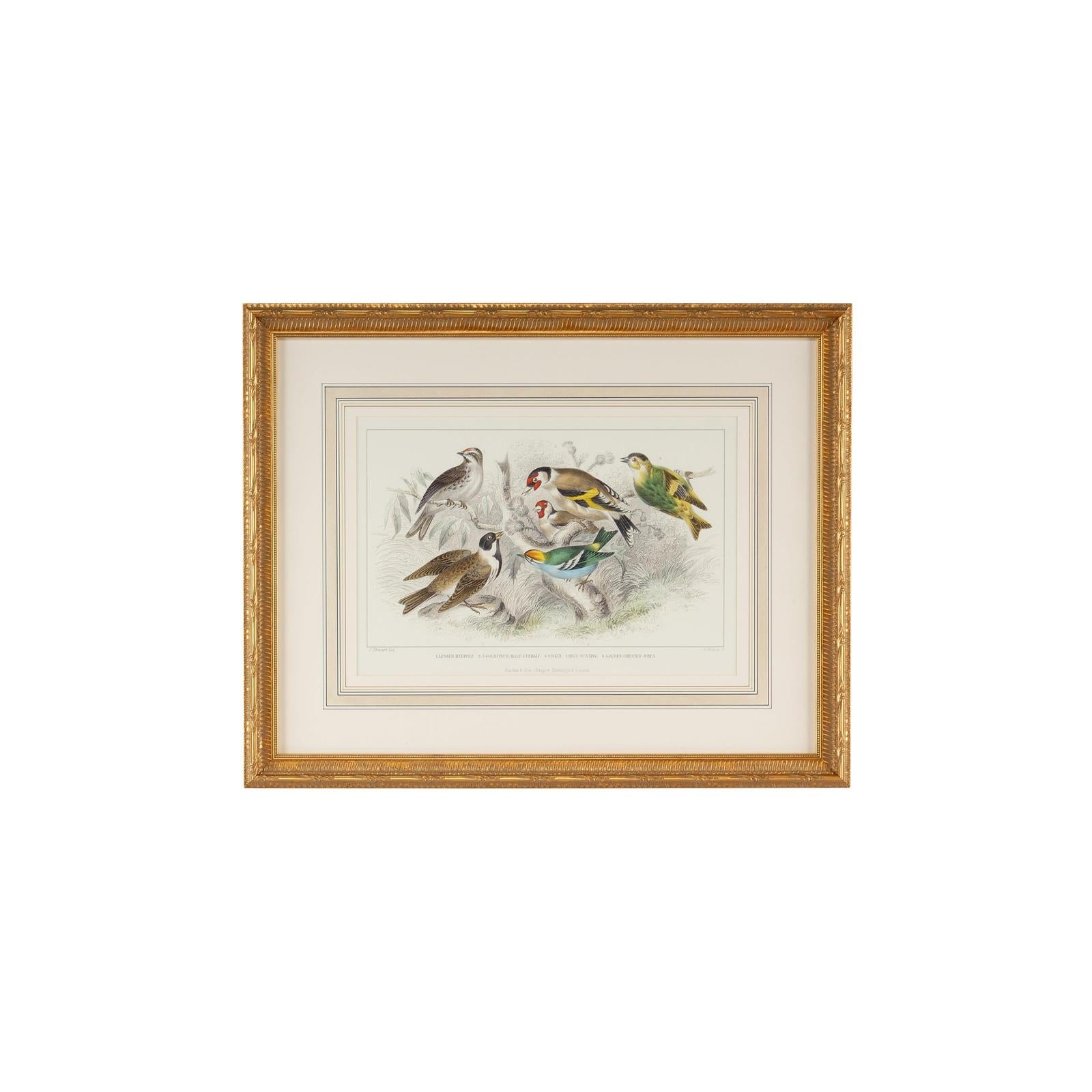 Chelsea House Gold Finch Bunting & Wrens Frame