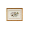 Chelsea House Gold Finch Bunting & Wrens Frame