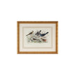 Chelsea House Skylark Song Thrush & Breast Frame