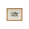 Chelsea House Skylark Song Thrush & Breast Frame