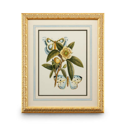 Chelsea House Butterfly Oasis Frame