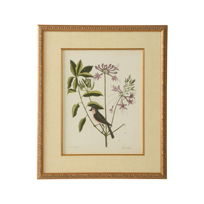 Chelsea House Catesby Bird & Botanical Frame