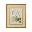 Chelsea House Catesby Bird & Botanical Frame