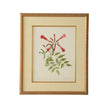 Chelsea House Catesby Bird & Botanical Frame
