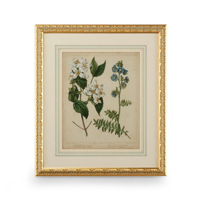 Chelsea House Cottage Florals Frame