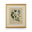 Chelsea House Cottage Florals Frame