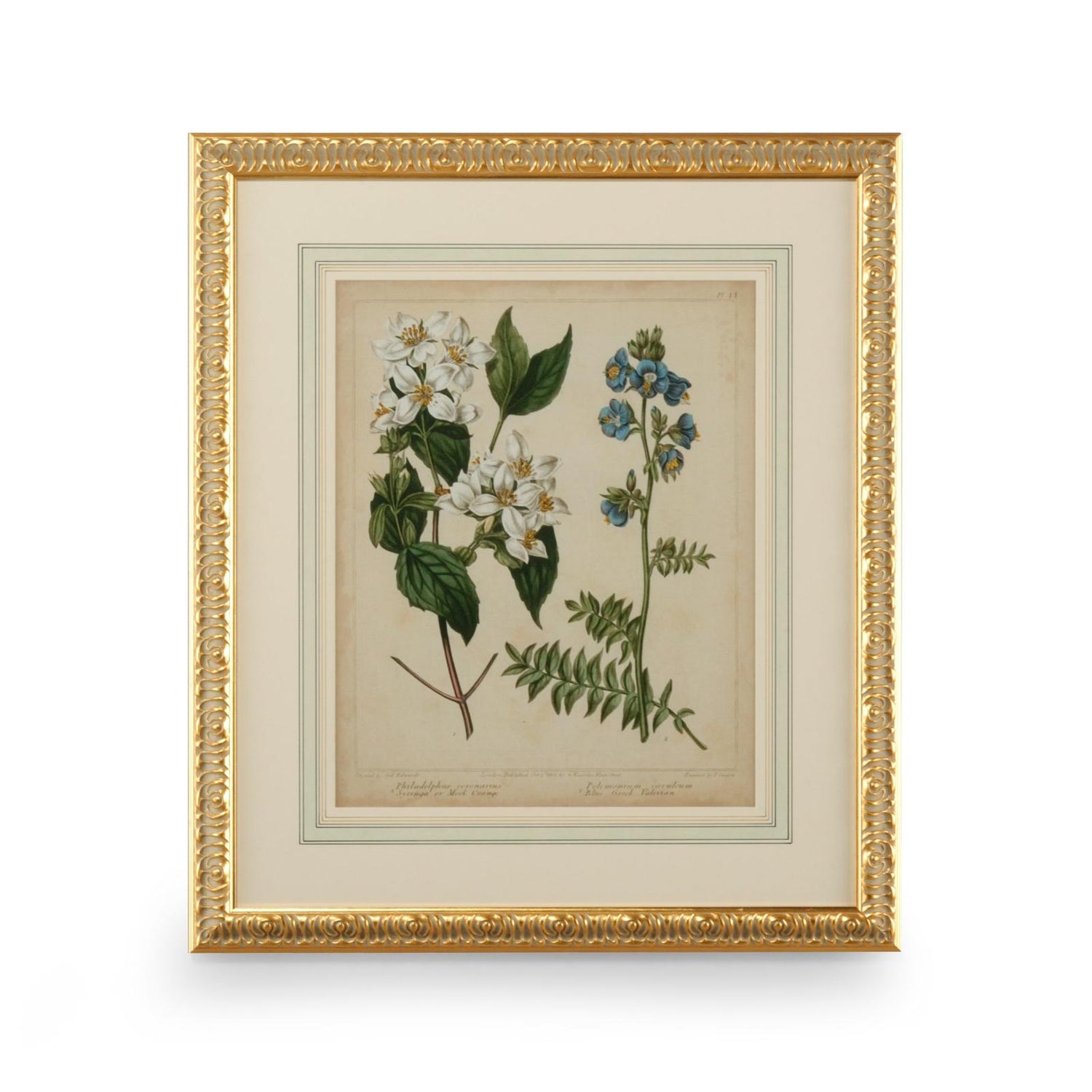 Chelsea House Cottage Florals Frame