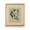 Chelsea House Cottage Florals Frame