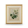 Chelsea House Cottage Florals Frame