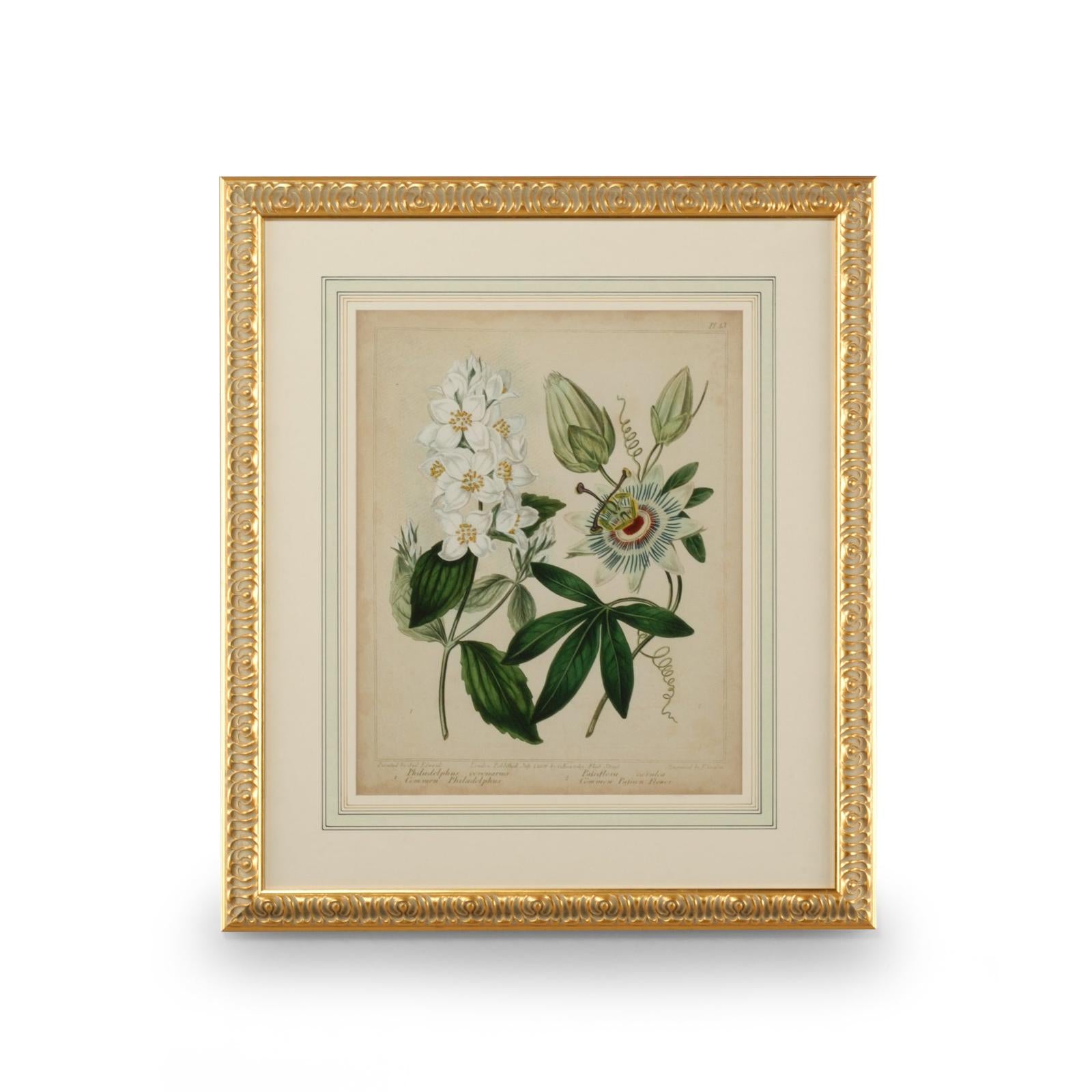 Chelsea House Cottage Florals Frame