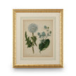 Chelsea House Cottage Florals Frame