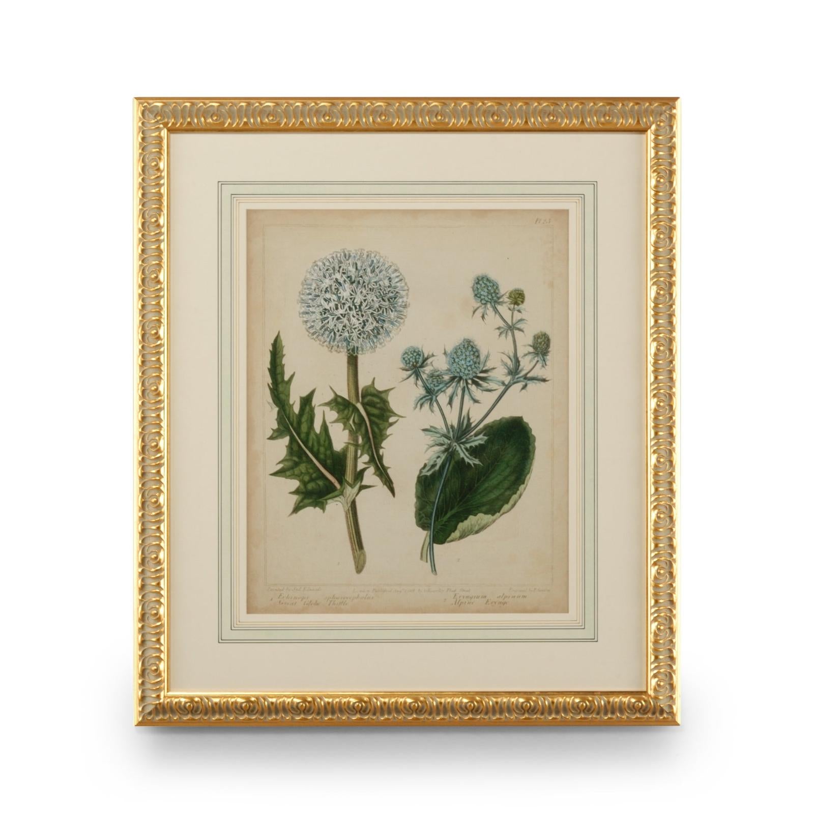 Chelsea House Cottage Florals Frame